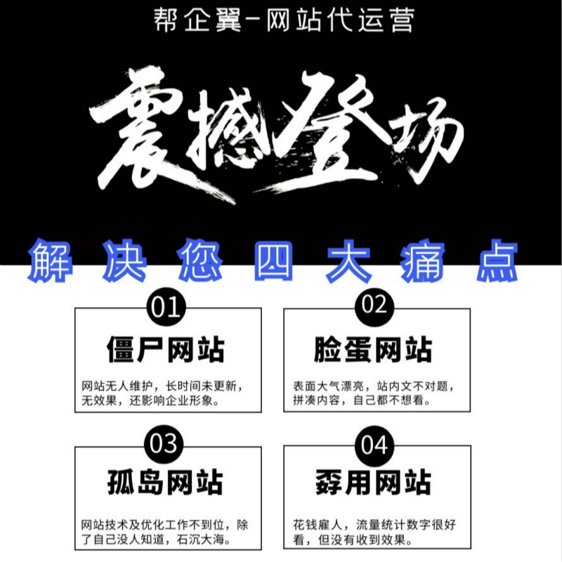 门户/行业网站代运营图2