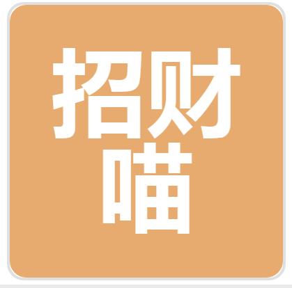 山东招财喵财务管理有限公司